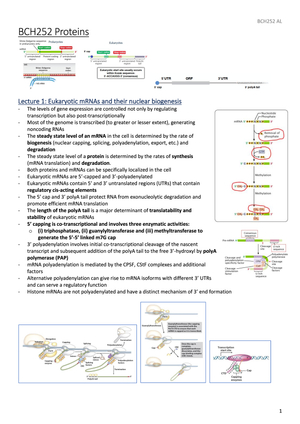 BCH252 short summary