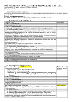 Prüfschema EuR Ausservertragliche Haftung