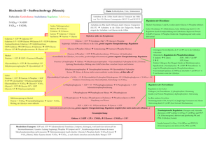 BCH202/220 - Zusammenfassung