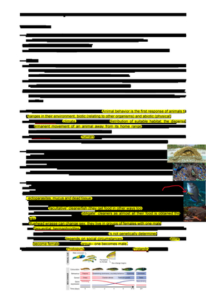 ZF + Prüfungsfragen