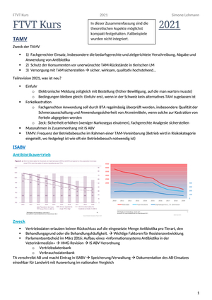 FTVT Zusammenfassung word-datei