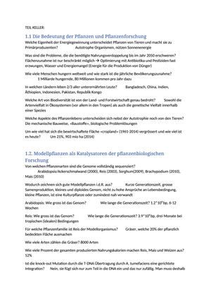 Titel des Files