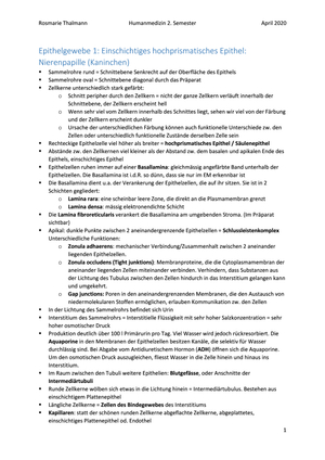 Histologiepraktikum 2. Semester