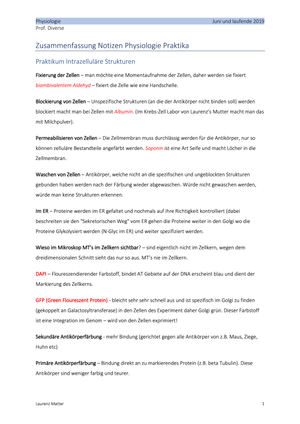 Titel des Files