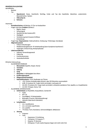 Propädeutik Alles KT