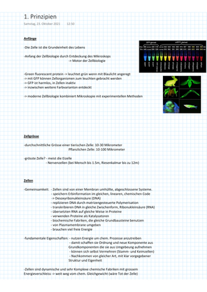 Titel des Files