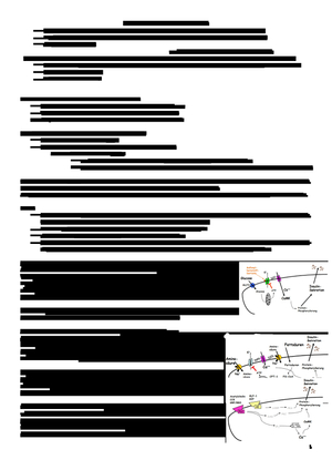 Titel des Files