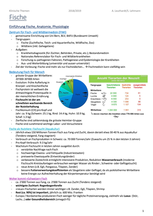 Fische Zusammenfassung PDF