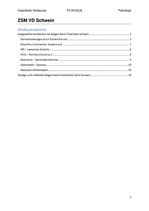 Pathologie Verdauung
