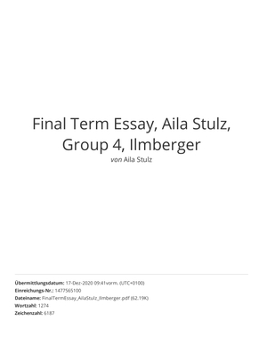 Example Final WSMA Essay