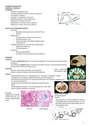 Neuropathologie