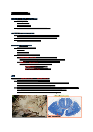 Histo Nervengewebe 1.JK Klisch