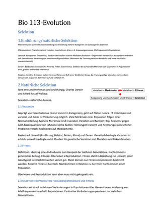Titel des Files