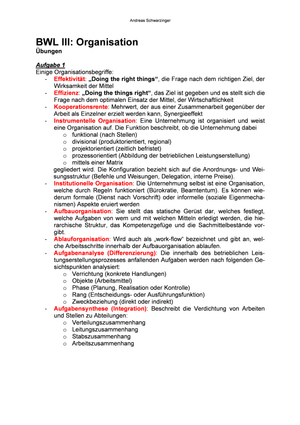 BWL III, Teil "Orga" Übungslösungen (pdf)