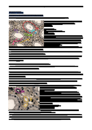 Histologie Praktikum