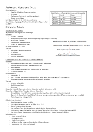 Blutkrankheiten Klt