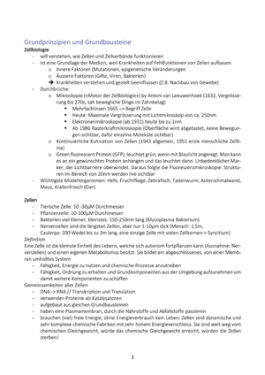 Zusammenfassung HS 19