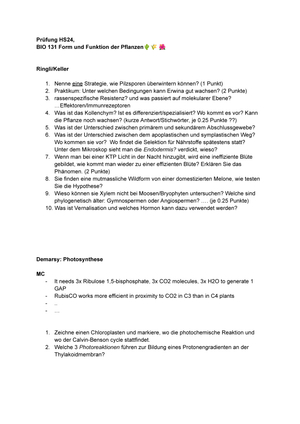 Titel des Files