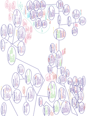 Stammbaum Wirbellose