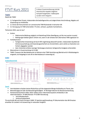 FTVT Zusammenfassung PDF