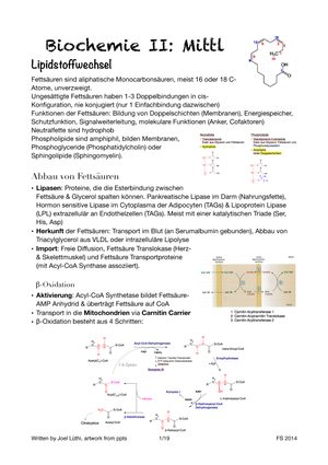 BCH_220_Zusammenfassung_Mittl_JL