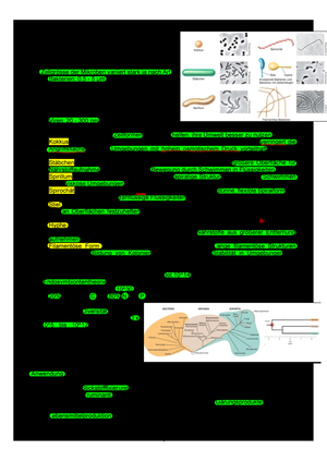 Titel des Files