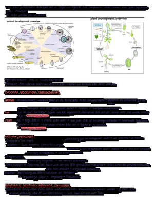Kurze Zusammenfassung Tiere