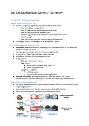 BIO 125 Development of Multicellular Systems