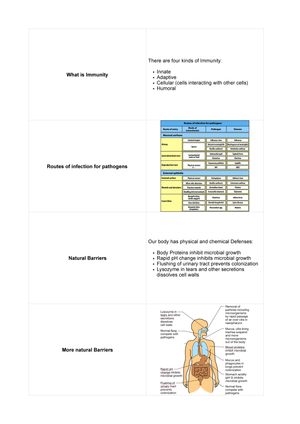 Biomedizin Karteikarten