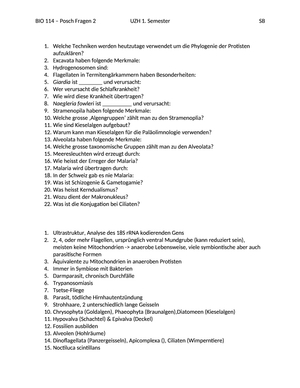 Einzeller Fragen Posch 2