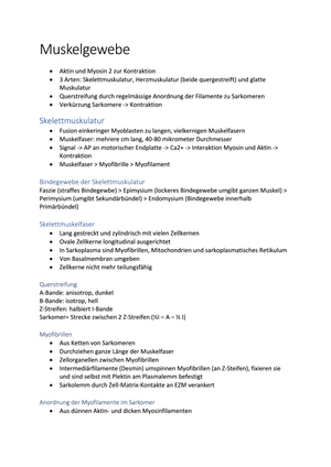 Histologie Zusammenfassung Stichworte