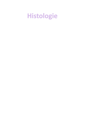 Titel des Files