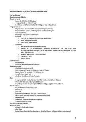 ZF Rind Bewegungsapparat