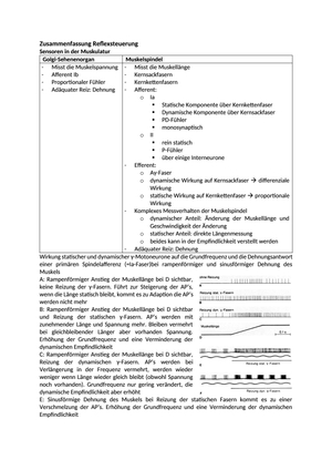 ZF Reflexsteuerung Vogel