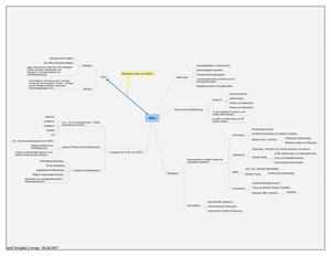 Mu-Lösung Globalisierung&MNUs Pruefung FS05 A2
