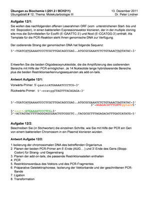 Titel des Files