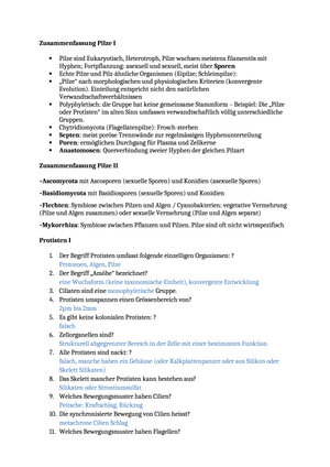 Keypoints Wirbellose 2014
