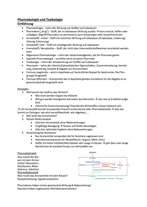 Titel des Files