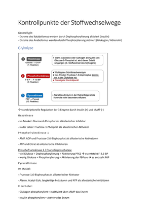 Kontrollpunkte der Stoffwechselwege