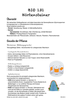 Titel des Files