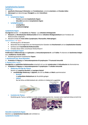 Titel des Files
