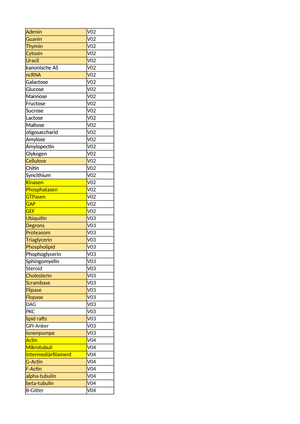 Titel des Files