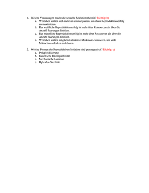 Titel des Files