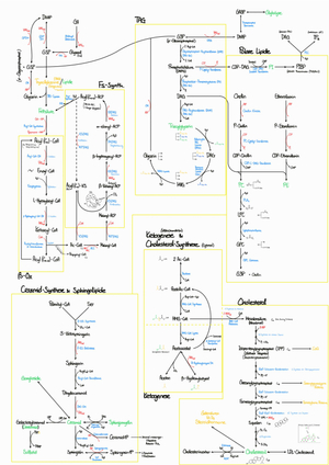 Hersberger (Nur Reaktionen!)
