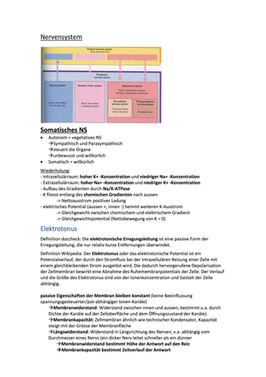Titel des Files