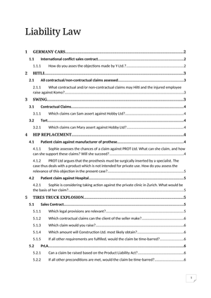 Exam Examples_Liability Law 2019