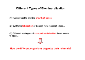 CHE 324 Skript HS15 Biomineralization Teil 2