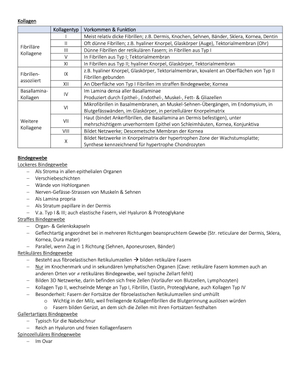 Kollagen & Bindegewebe Übersicht