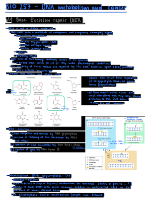 BIO 257 Zusammenfassung