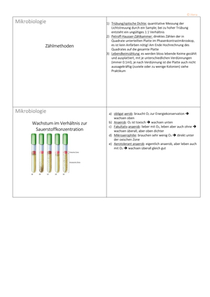 Lernkärtli Mikro (2013)